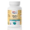 Zein Pharma - Choline