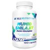 Allnutrition - Mumio Shilajit