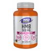 HMB 500 mg Capsules