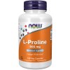 L-Proline 500 mg Veg Capsules