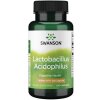 SWANSON Acidophilus 100kaps