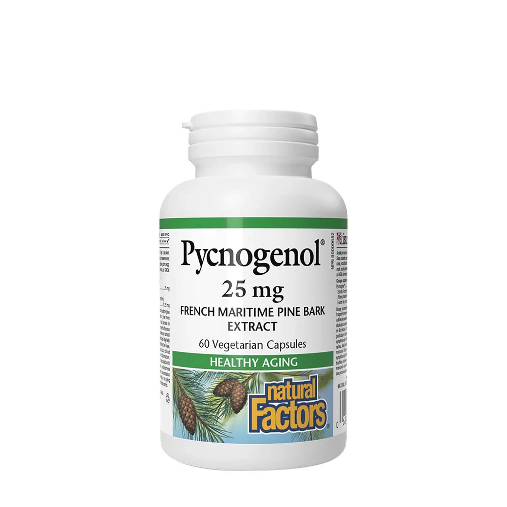 Natural Factors Pycnogenol 25 mg Pine Bark Extract (60 Capsules)